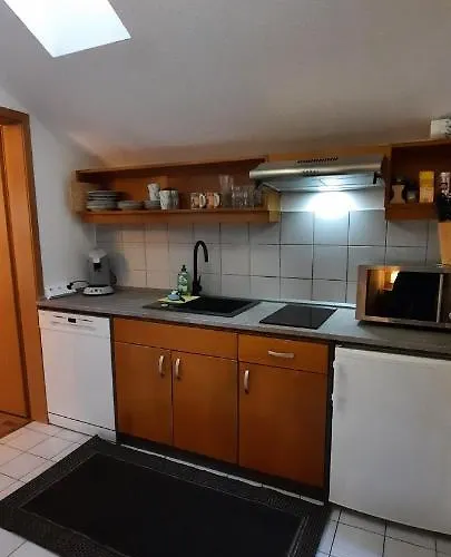 Wildgatter Apartament