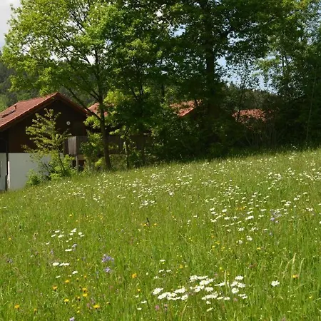 Wildgatter * Grafenwiesen