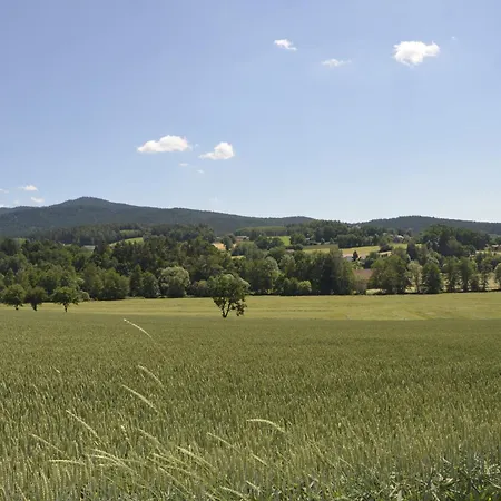 Wildgatter Grafenwiesen