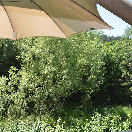 Appartamento Wildgatter Grafenwiesen