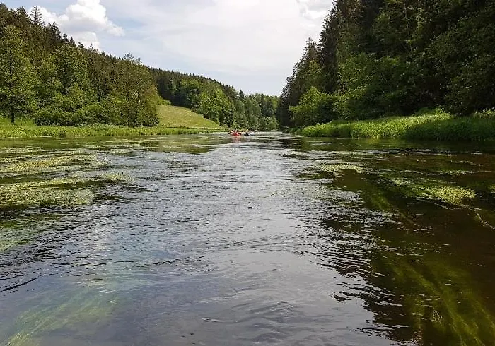 Wildgatter Grafenwiesen